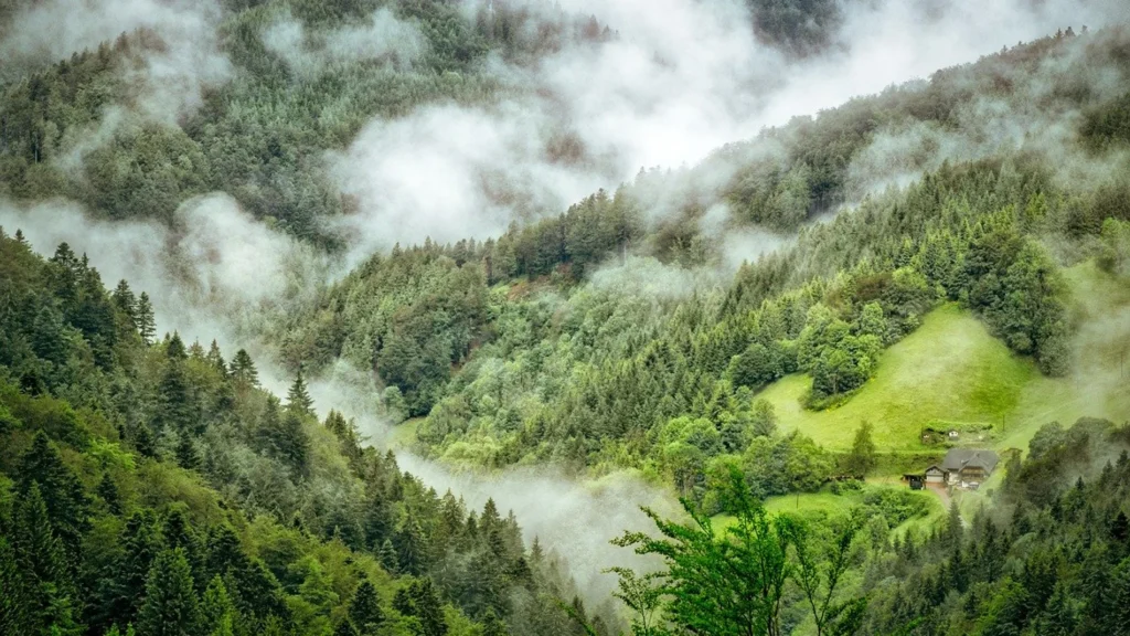 جبال الألب والغابات السوداء