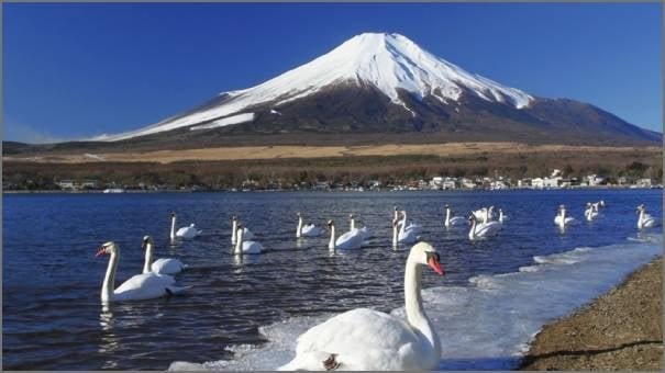 عواصم اليابان و جبل فوجي