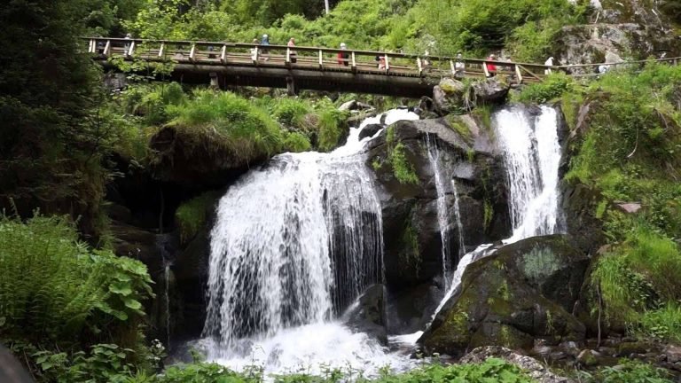 جبال الألب والغابات السوداء