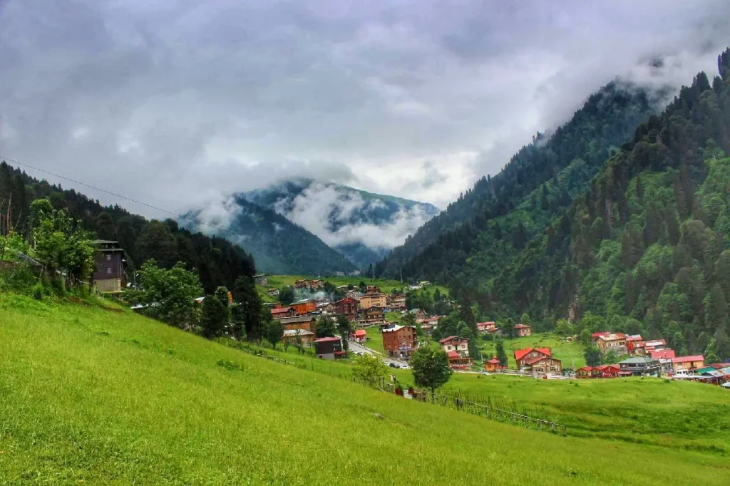 الشمال التركي سائق خاص