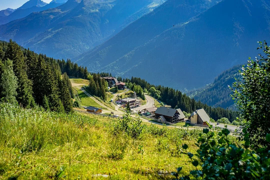 الشمال التركي سائق خاص