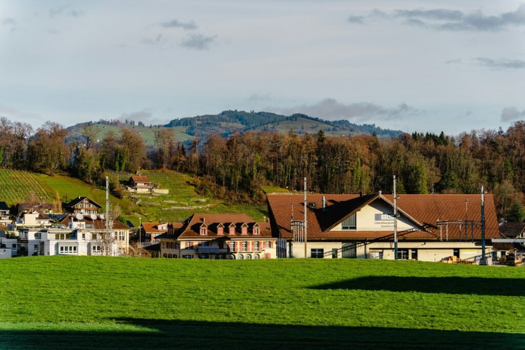 a green field with houses in the background