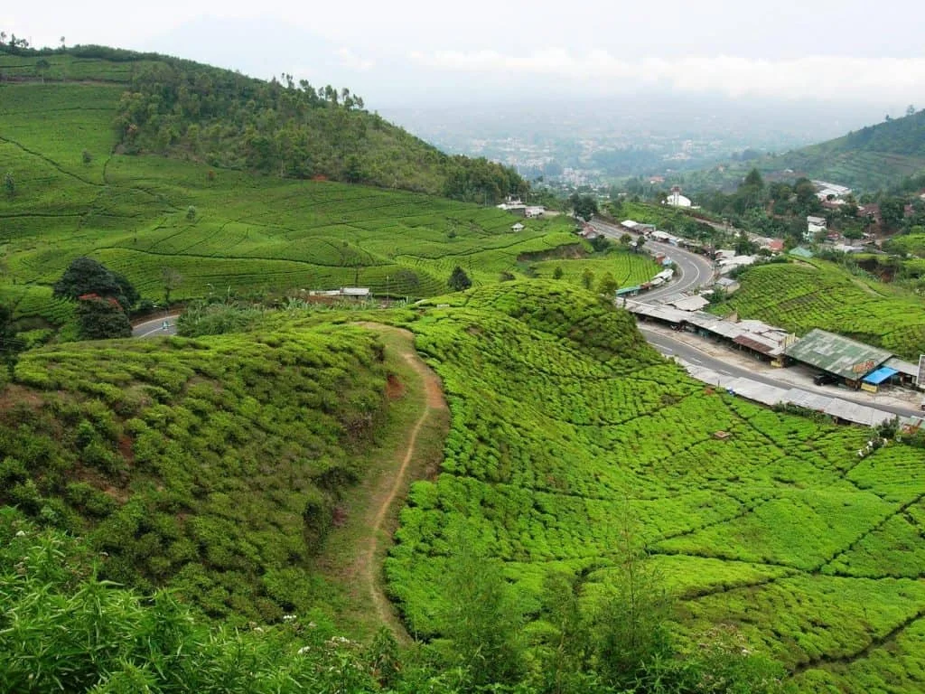 رحلات اندونيسيا