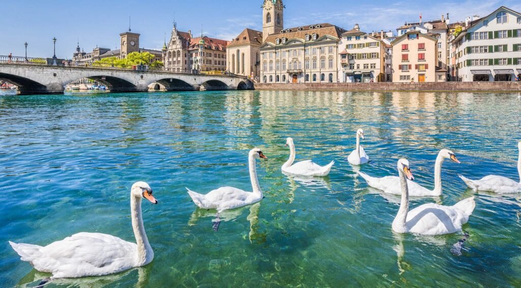 الكنوز الممتعة