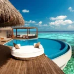 السفر في الإجازة