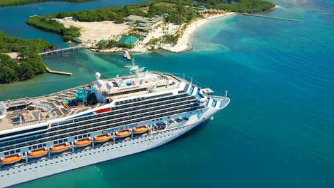 أنشطة للعائلات