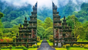 أبرز الأنشطة في أندونيسيا