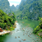 تكلفة فيتنام للعائلات