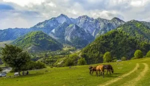جدول سياحي في اذربيجان